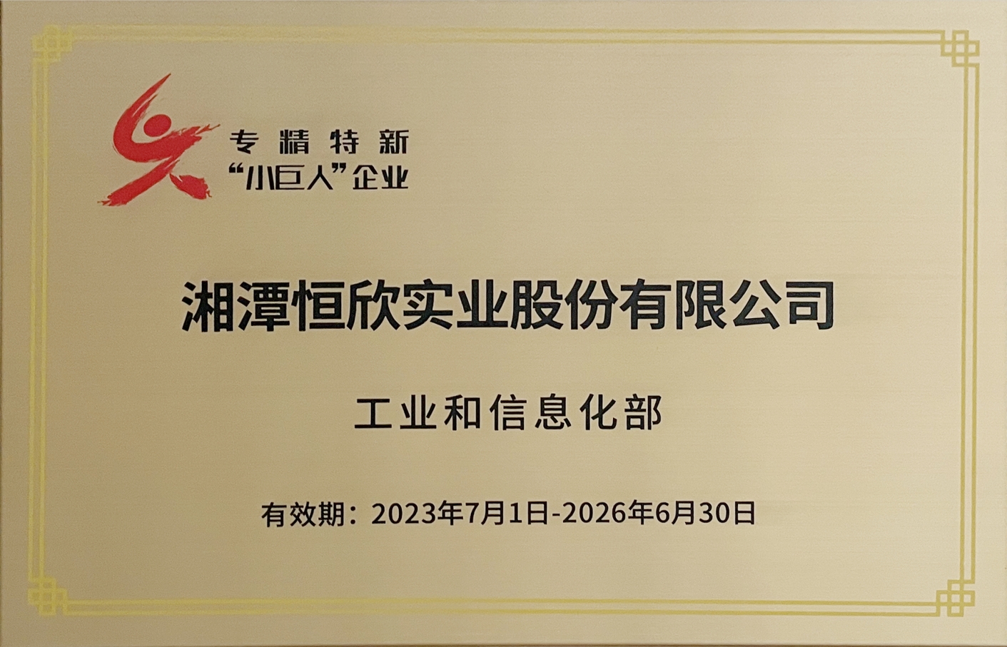 國家級專精特新“小巨人”企業