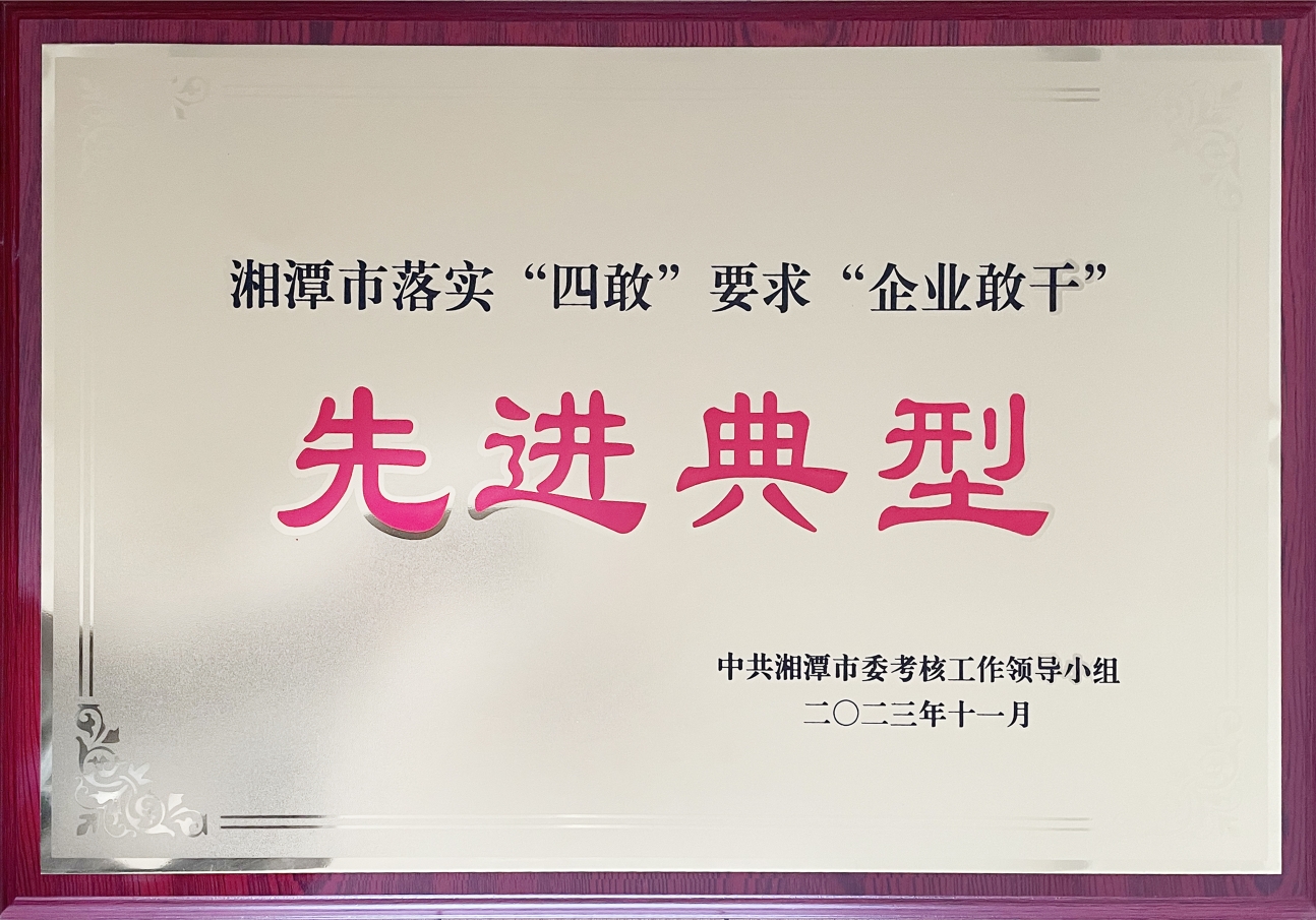 湘潭市落實“四敢”要求“企業敢干”先進典型